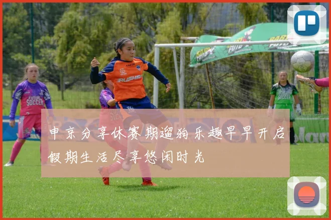 申京分享休赛期遛狗乐趣早早开启假期生活尽享悠闲时光