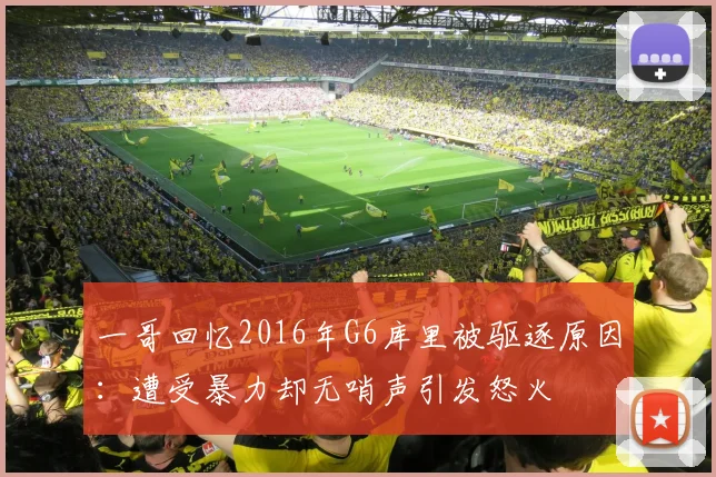 一哥回忆2016年G6库里被驱逐原因：遭受暴力却无哨声引发怒火